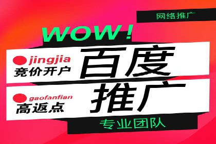 SEM推广案例：打造高效广告投放策略